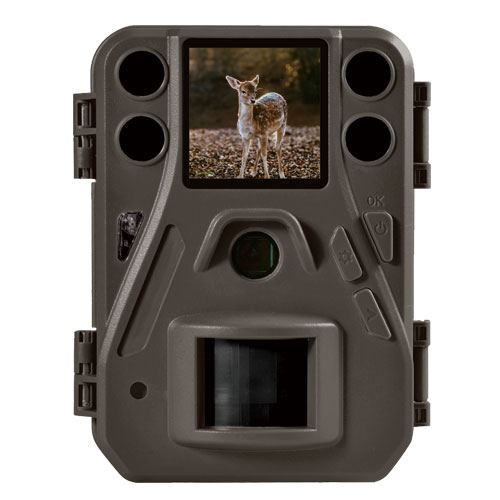 Κάμερα 12MP 720p HD video για κυνηγούς μελίσσια αποθήκες BG330